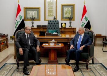 رئيس الجمهورية يبحث مع رئيس المحكمة الاتحادية العليا التعاون المشترك لتحقيق التكامل بين السلطات