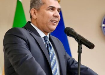 حين يُصنع الجهل عمدًا