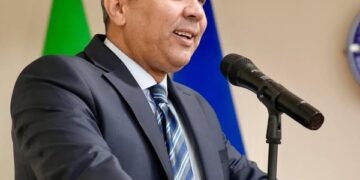 حين يُصنع الجهل عمدًا