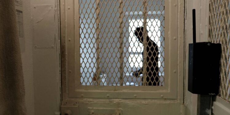 سجين فرنسي يهرب في حقيبة زميله المفرج عنه