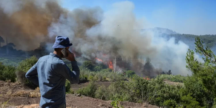 سوريا.. اتساع حرائق الغابات في الساحل ومساعدات “تركية وأردنية” لإخماد النيران