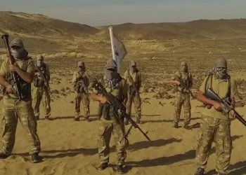مصر تقلّل من أهمية إعلان “حركة إخوانية مسلحة” عودة نشاطها