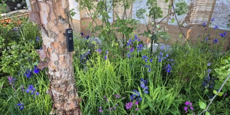 الآن يمكنك التحدث مع الأشجار عبر الذكاء الاصطناعي