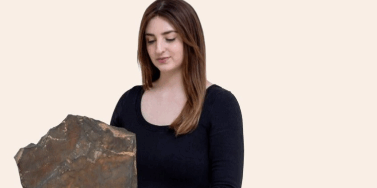 عرض “أكبر قطعة من المريخ” سقطت على الأرض للبيـــــع في مزاد علني