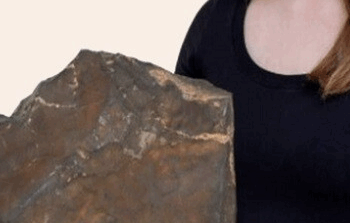 عرض “أكبر قطعة من المريخ” سقطت على الأرض للبيـــــع في مزاد علني
