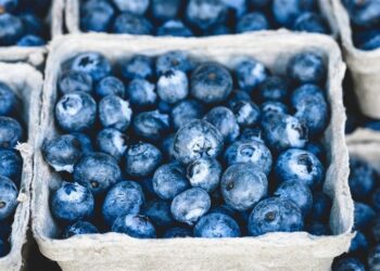 سحب فوري للتوت في أمريكا بسبب خطر صحي بالغ