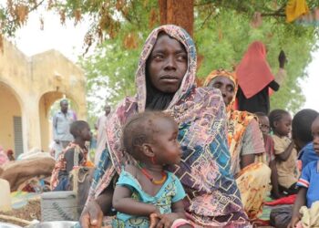 السودان.. الجيش يتصدى لهجوم بالمسيرات على مروي والدبة