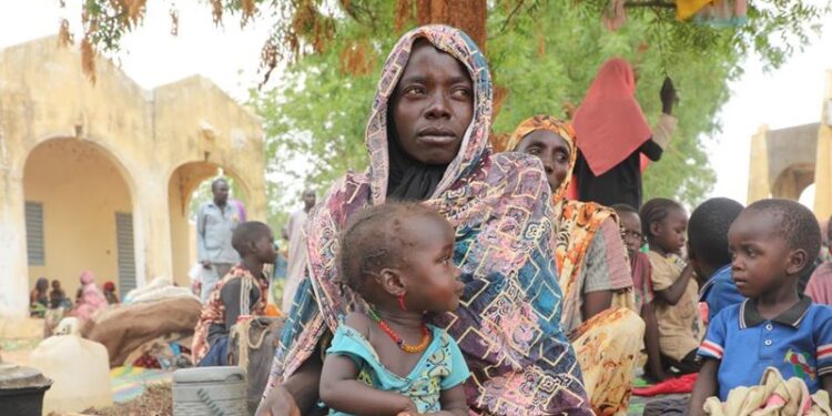 السودان.. الجيش يتصدى لهجوم بالمسيرات على مروي والدبة