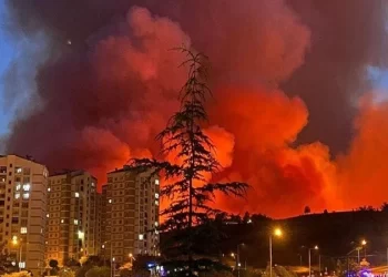 تركيا.. حرائق الغابات تقترب من رابع أكبر المدن,,بعد إجلاء 3500 شخص