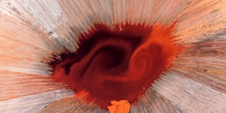 لقطات آسرة من مسابقة المصور الجوي الدولي لعام 2025