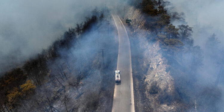 دمشق تطلب مساعدة الاتحاد الأوروبي لإخماد حرائق الساحل السوري