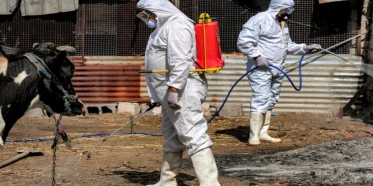 ذي قار تتصدر إصابات الحمى النزفية والجهات الصحية تسابق الزمن لاحتواء الانتشار