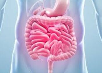 سبعة أطعمة تحسن الهضم وتعزز صحة الأمعاء