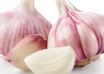 أطعمة تساعدك على التخـلـــص من رائحة الثوم
