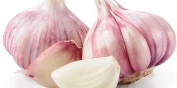 أطعمة تساعدك على التخـلـــص من رائحة الثوم