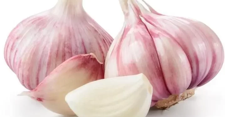 أطعمة تساعدك على التخـلـــص من رائحة الثوم