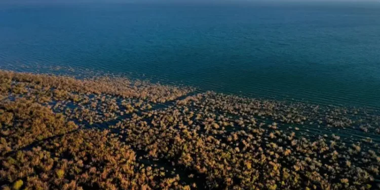 حيـــن تتداخل تغيّرات المناخ “بالنبوءات”,,,, “جفاف بحيرة طبريا”