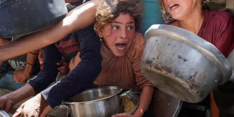 أكثر من “60 ألف قتيل” منذ بدء الحرب في غزة,, والقطاع “يتجه نحو المجاعة”