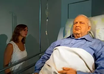 من هم الأطول غياباً عن الوعي في تاريخ البشرية؟