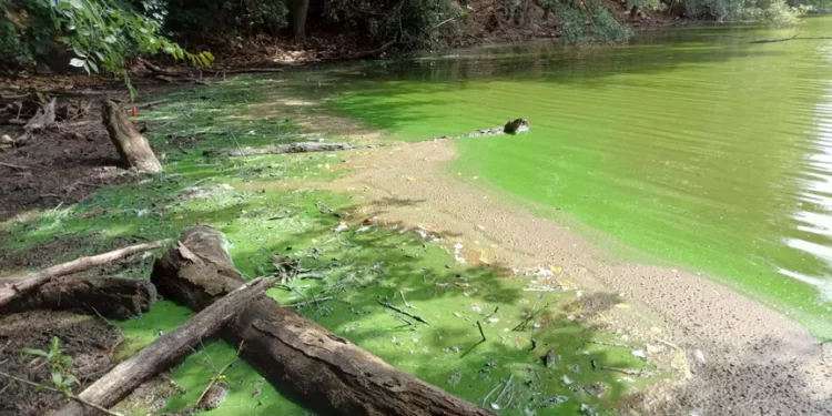 ابتكار طريقة بسيطة ودقيقة لكشف سموم المياه