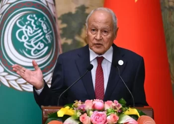 أبو الغيط يعرب عن تضامن الجامعة العربية مع العراق في محنة حريق الكوت