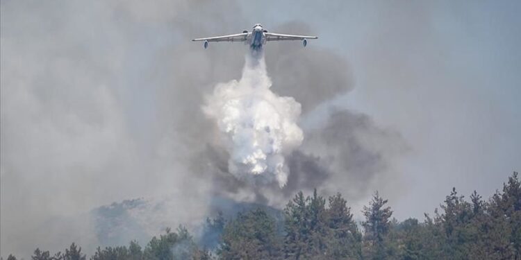 تركيا تعلن السيطرة على معظم حرائق الغابات وتواصل إخماد 4 بؤر متبقية