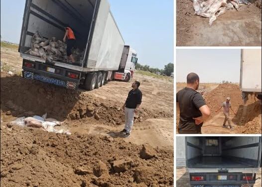 ضبط وإتلاف أكثر من 5 أطنان من اللحوم المجهولة في الكرخ