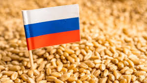 روسيا تلغـــي رسوم تصدير القمح لأول مرة منذ 2021