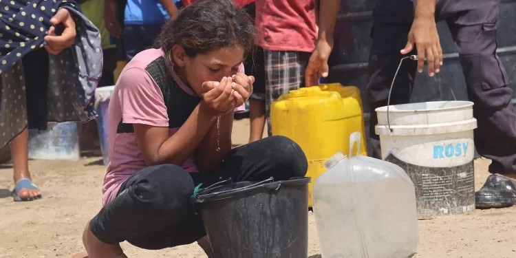 غزة.. مرض نادر ومميت يظهر بعد تدمير إسرائيل محطات معالجة المياه