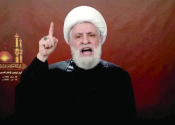 لبنان.. شكوى أمام القضاء اللبناني ضد نعيم قاسم