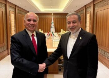 عراقجي وفؤاد حسين يشــــددان على العمل (الإسلامي والعربي) لمساعدة غزة