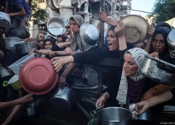 إعلان المجاعة رسمياً في غزة “نقطة لا رجعة منها”