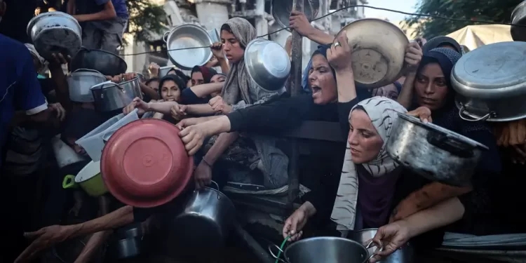 إعلان المجاعة رسمياً في غزة “نقطة لا رجعة منها”