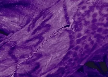 اكتشاف لوشوم معقدة على جسد مومياء عمرها 2,500 عام