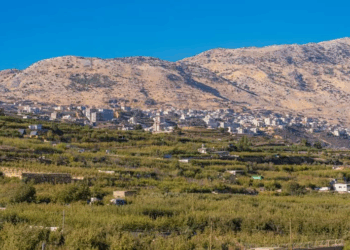 دروز لبنان وسوريا,,, بين وحدة الهوية وتباين الخيارات