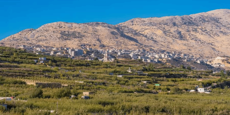 دروز لبنان وسوريا,,, بين وحدة الهوية وتباين الخيارات