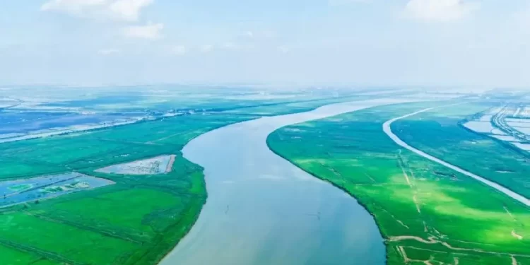 %20 من الأراضي الرطبة مهددة بالاختفاء بحلول منتصف القرن