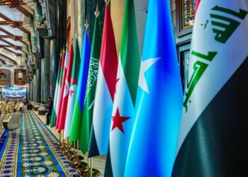 مصر تكشف عن تنسيق لوضع نظام أمني إقليمي يضمن مصالح الدول العربية