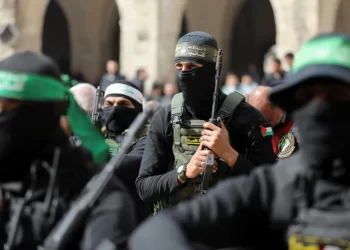 ويتكوف: نعمل مع الحكومة الإسرائيلية على خطة لإنهاء حرب غزة