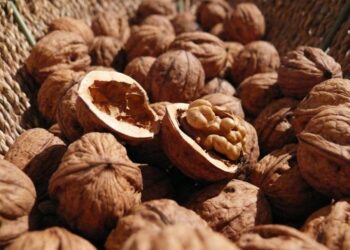 كنز غذائي في ثمرة