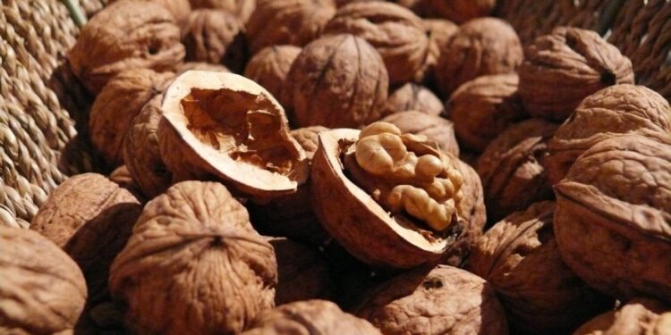 كنز غذائي في ثمرة