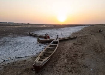 العراق.. الطحالب والبكتيريا والنبتات الغازية تفترش نهر الفرات