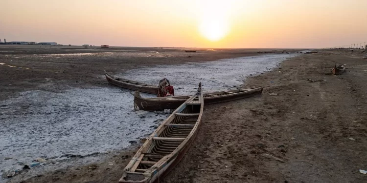 العراق.. الطحالب والبكتيريا والنبتات الغازية تفترش نهر الفرات