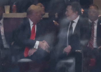 ترامب وماسك يتصافحان,,, بعد خلاف حاد