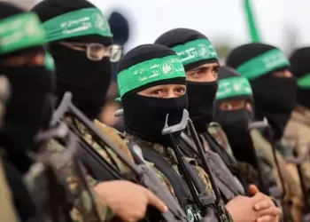 حماس.. منفتحون على مقترحات ترامب للسلام