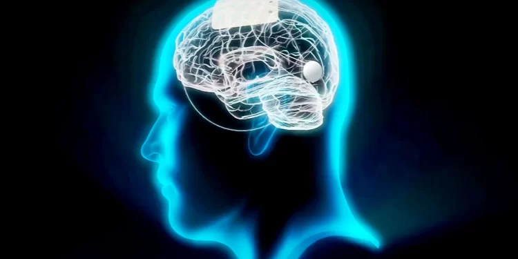 كيف يتخلص مخ الإنسان من النفايات؟