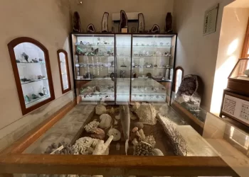 قصص جيولوجية فريدة لأحجار متحف أربيل