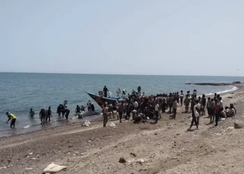 اليمن.. ضبط شبكة لتهريب المهاجرين من القرن الأفريقي