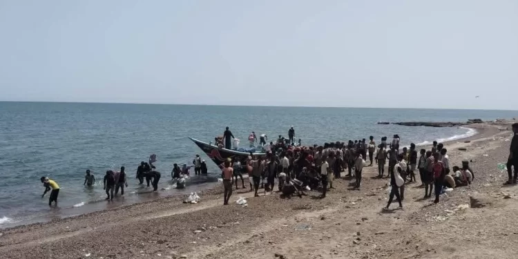 اليمن.. ضبط شبكة لتهريب المهاجرين من القرن الأفريقي