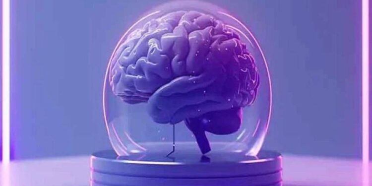 تطوير أدمغة بشرية صغيرة لتشغيل أجهزة الكمبيوتر